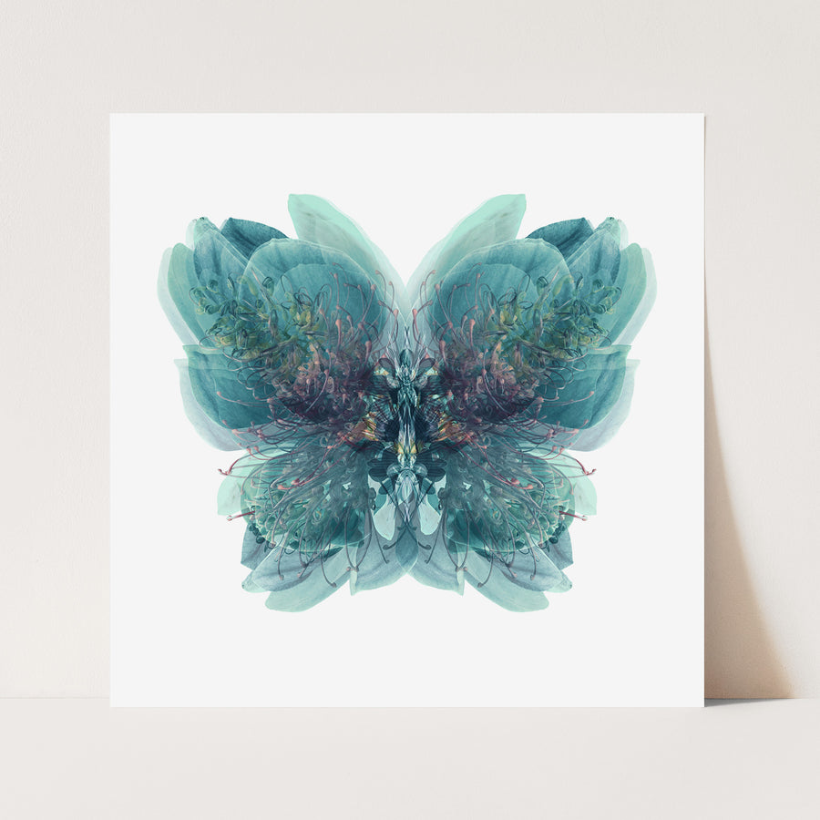 Blue Butterfly | Paper and Flower | Floral Art Print