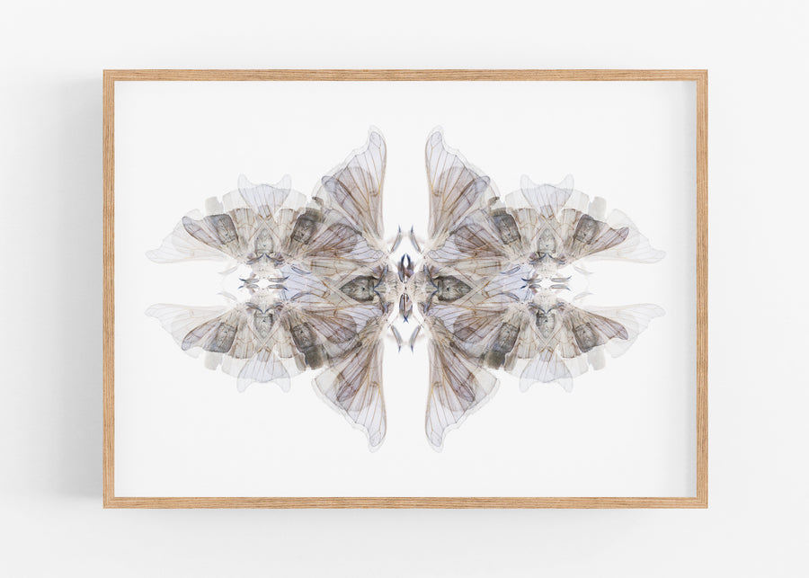 Blue Moth Pattern | Paper and Flower | Floral Art Print