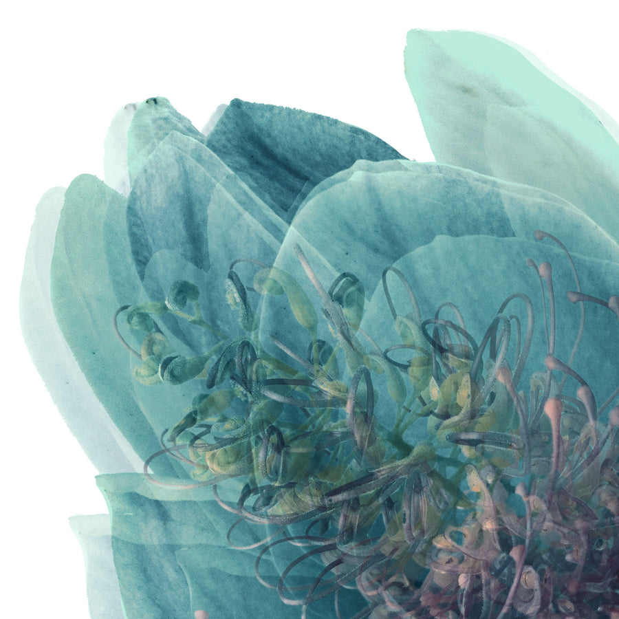 Blue Butterfly | Paper and Flower | Floral Art Print
