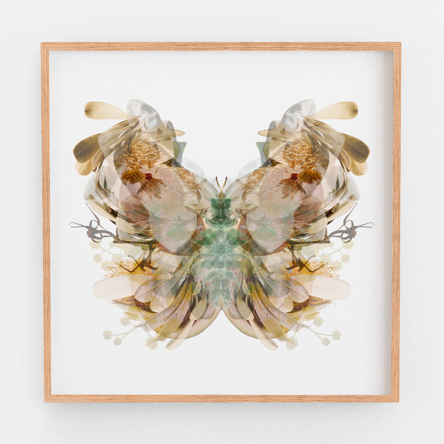 Chocolate Brown Moth | Paper and Flower | Floral Art