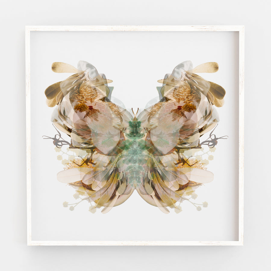 Chocolate Brown Moth | Paper and Flower | Floral Art