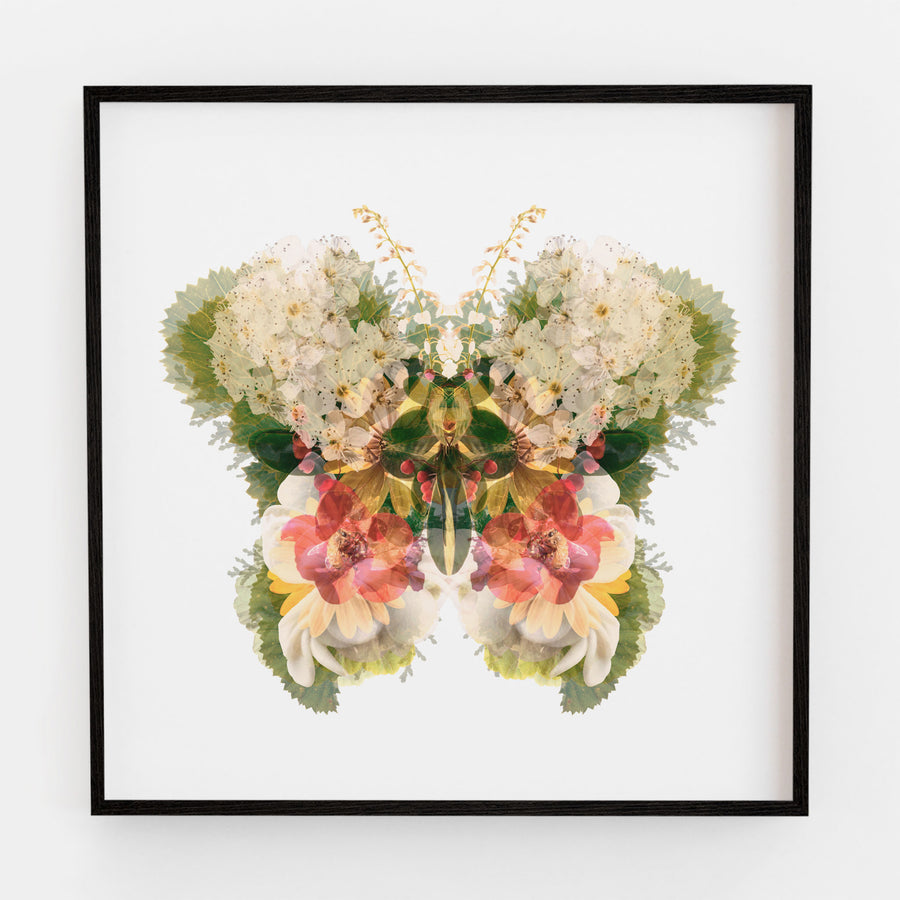 Garden Floral Butterfly Fine Art Print