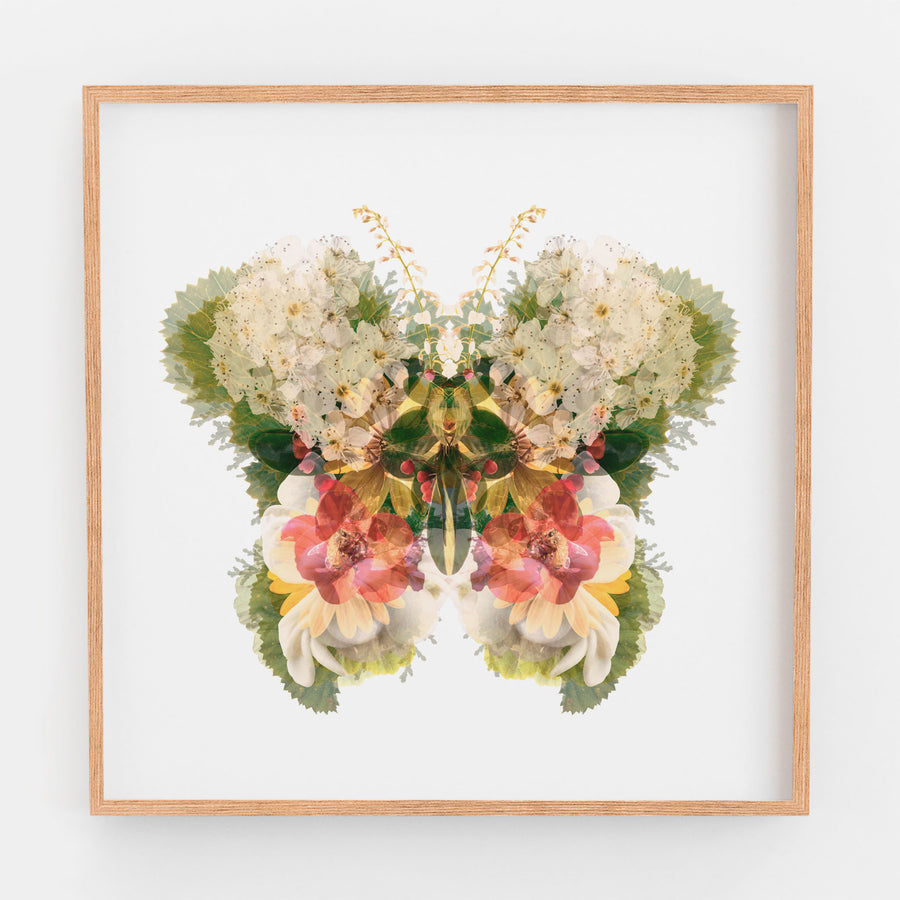 Garden Floral Butterfly Fine Art Print