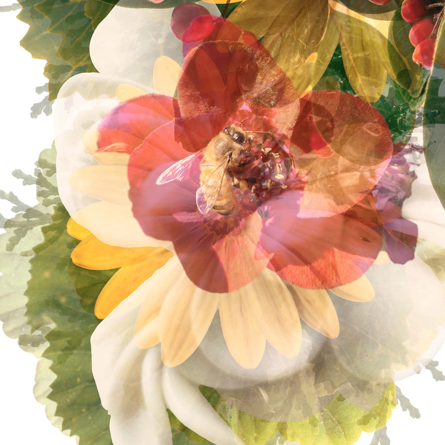 Garden Floral Butterfly Fine Art Print