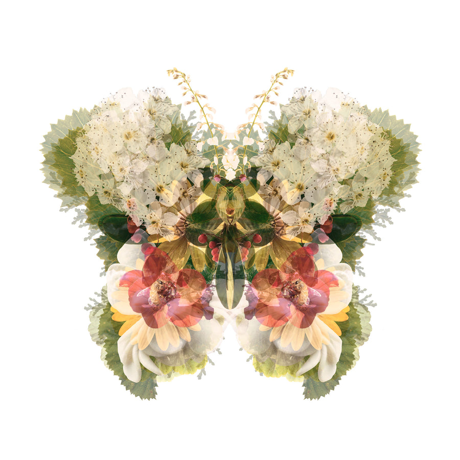 Garden Floral Butterfly Fine Art Print