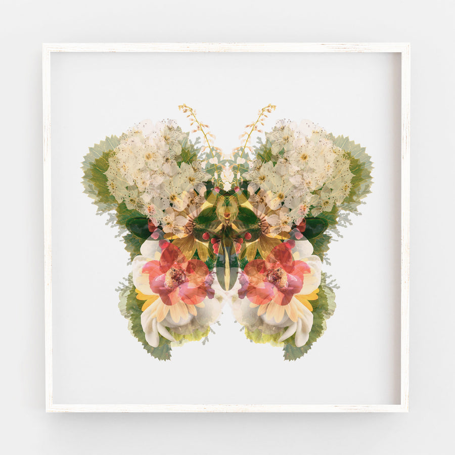 Garden Floral Butterfly Fine Art Print