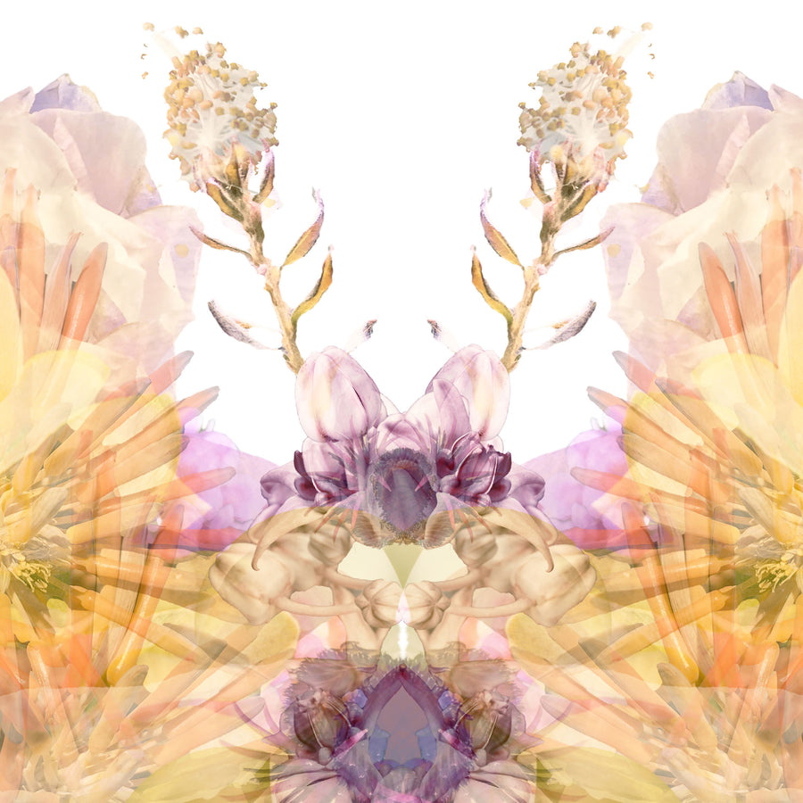 Lilac Floral Butterfly | Paper and Flower | Floral Art Print