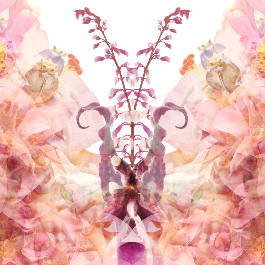 Pink Butterfly | Paper and Flower | Floral Art Print