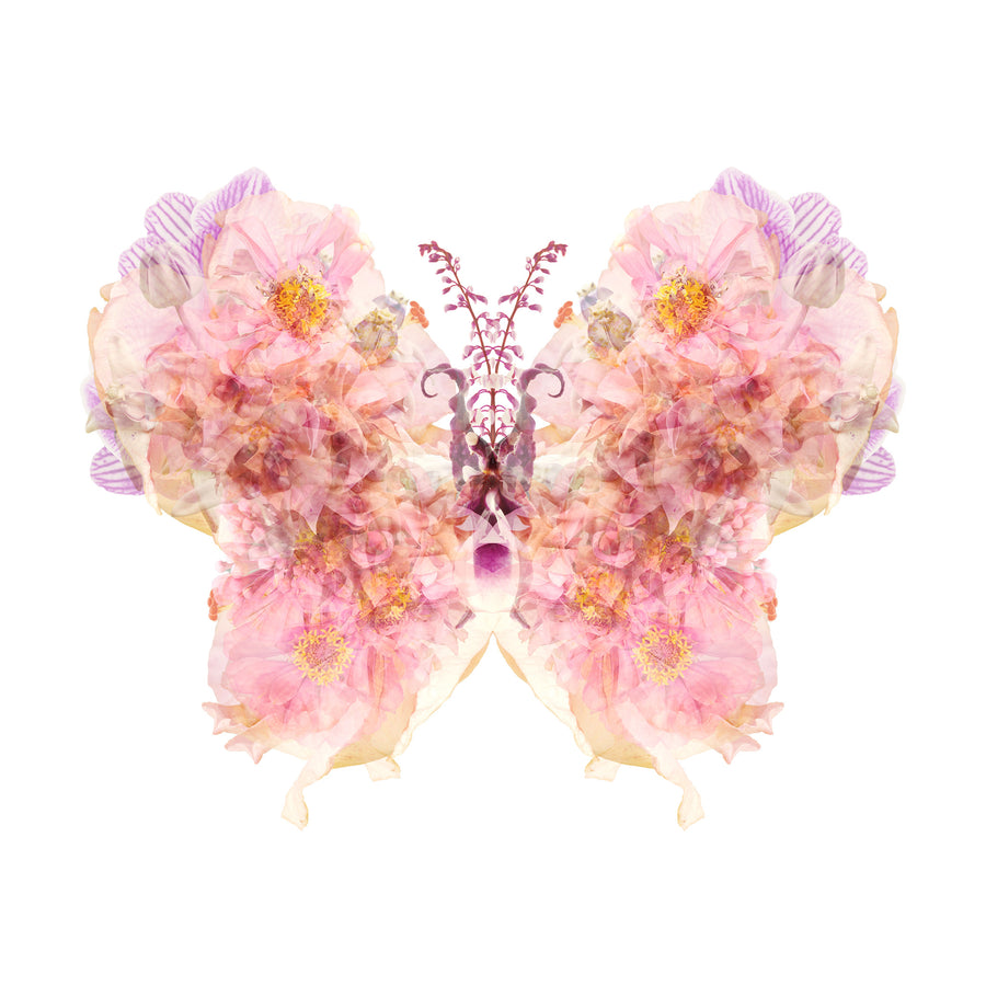 Pink Butterfly | Paper and Flower | Floral Art Print