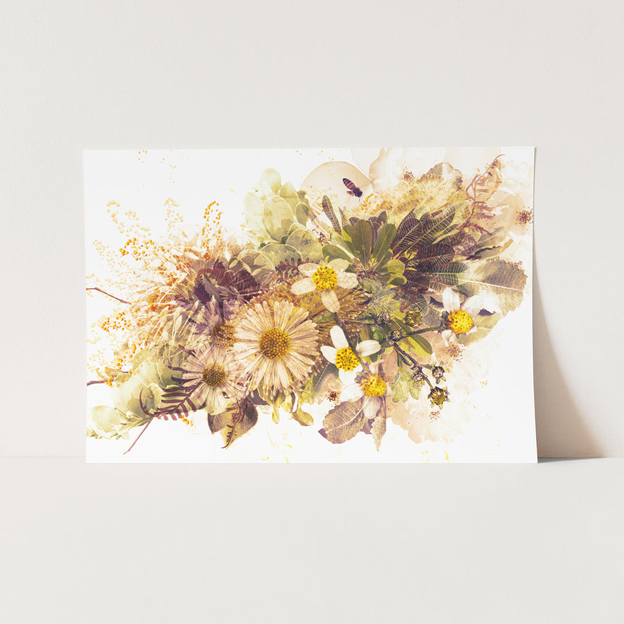 Caramel Native Flower Fine Art Print