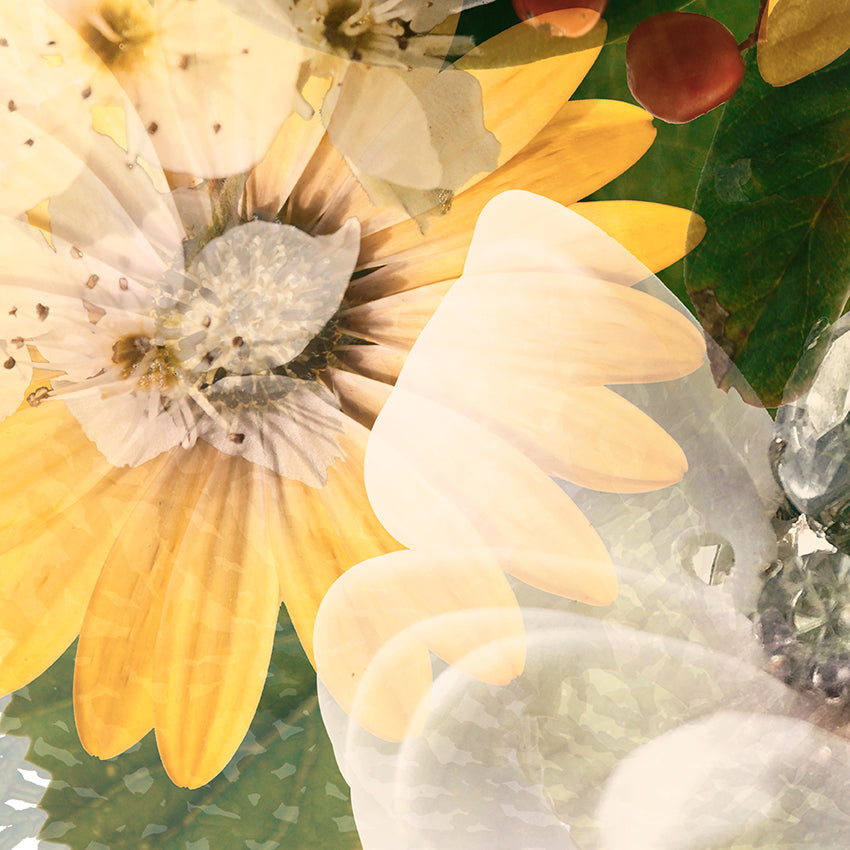 Green Garden with Daisies Art Print on Paper | Paper and Flower Photographic Studio