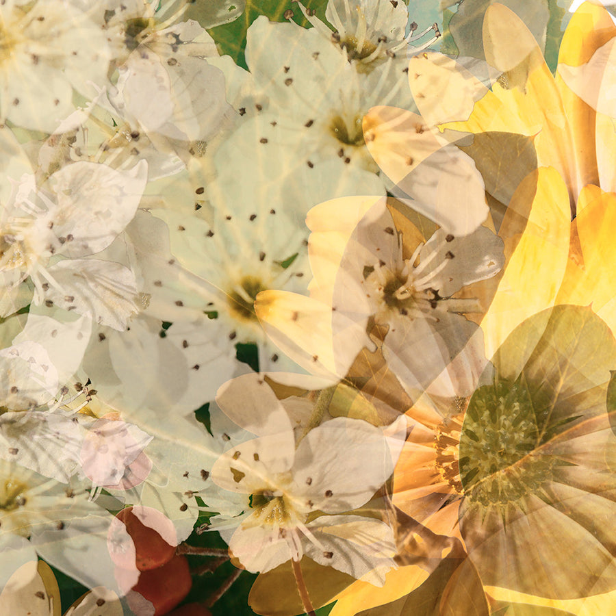Green Garden with Daisies Art Print on Paper | Paper and Flower Photographic Studio