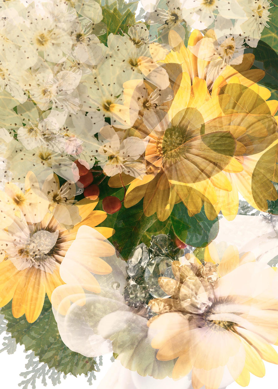 Green Garden with Daisies Art Print on Paper | Paper and Flower Photographic Studio