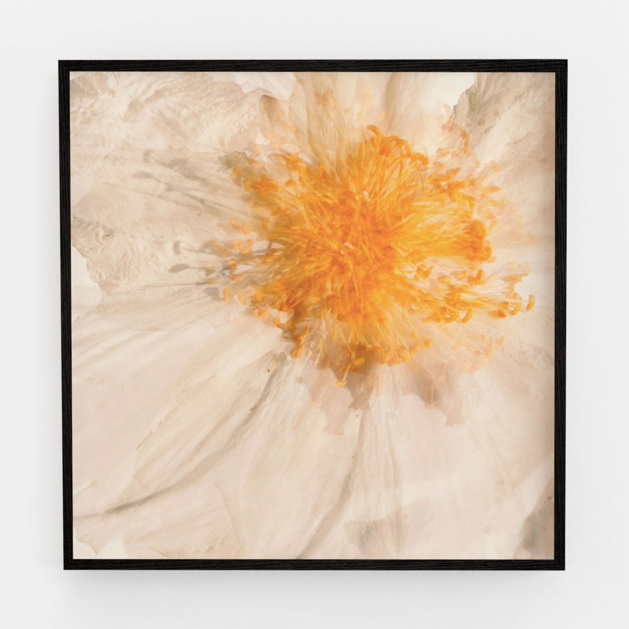 Egg Flower Heart | Paper and Flower | Floral Art Print