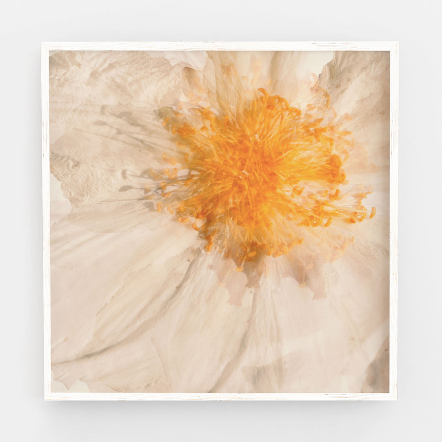 Egg Flower Heart | Paper and Flower | Floral Art Print