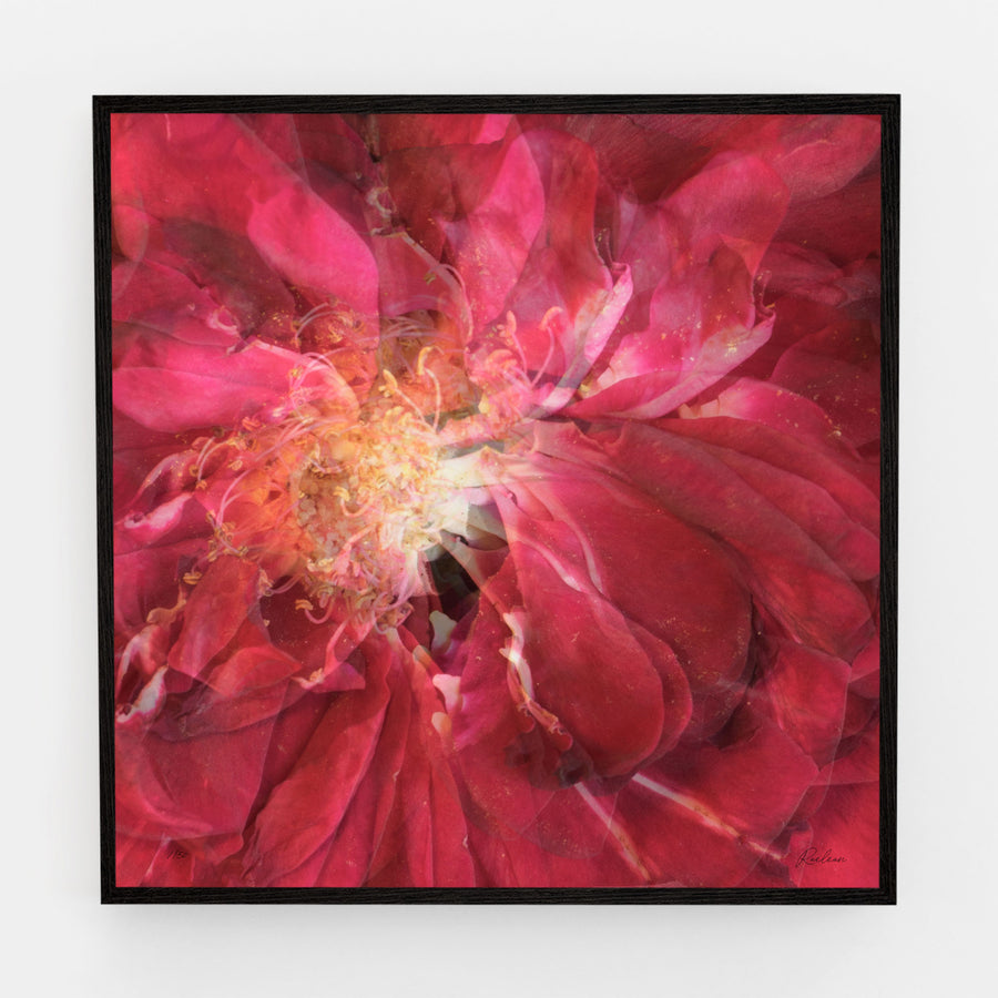 Red Rose Heart | Paper and Flower | Floral Art Print