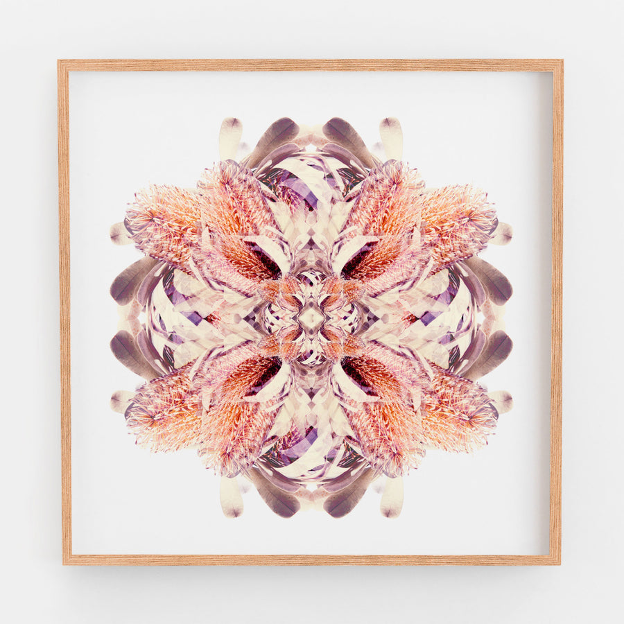 Banksia Flower Mandala Fine Art Print