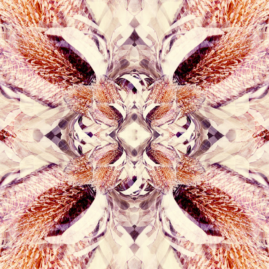 Banksia Flower Mandala Pattern | Paper and Flower | Floral Art Print