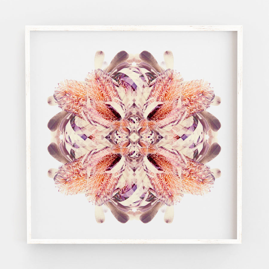 Banksia Flower Mandala Fine Art Print