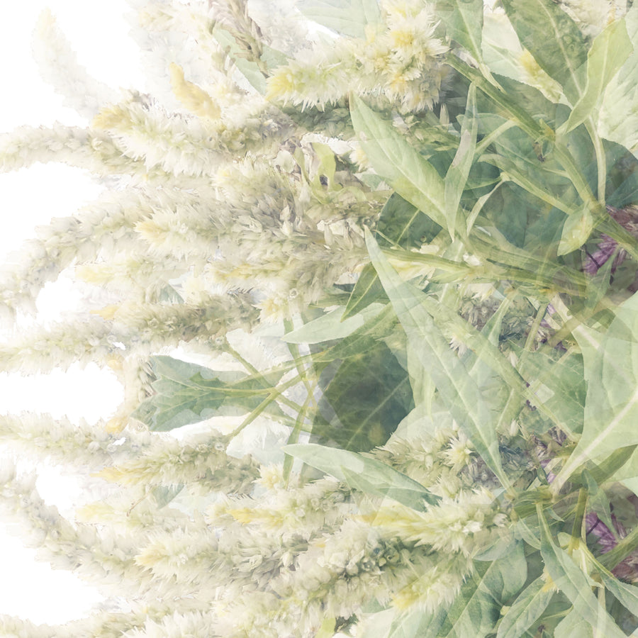 Green and White Vine Pattern | Paper and Flower | Floral Art Print