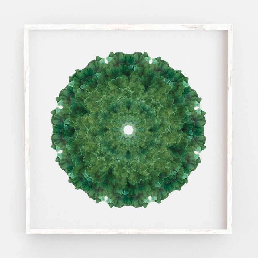 Green Geranium Mandala Pattern | Paper and Flower 