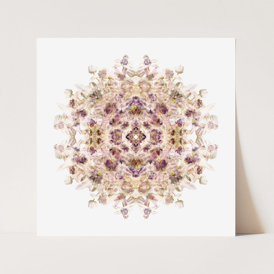 Lilac Wax Flower Mandala Pattern | Paper and Flower | Floral Art Print