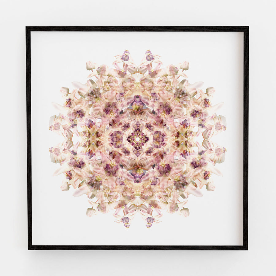 Lilac Wax Flower Mandala Pattern | Paper and Flower | Floral Art Print