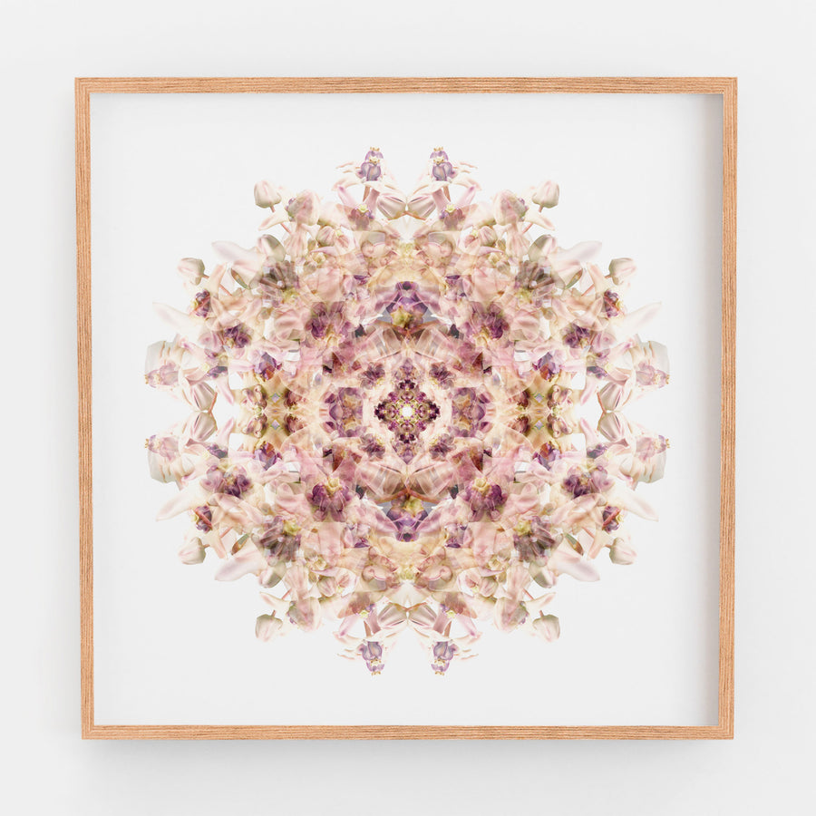 Lilac Wax Flower Mandala Pattern | Paper and Flower | Floral Art Print