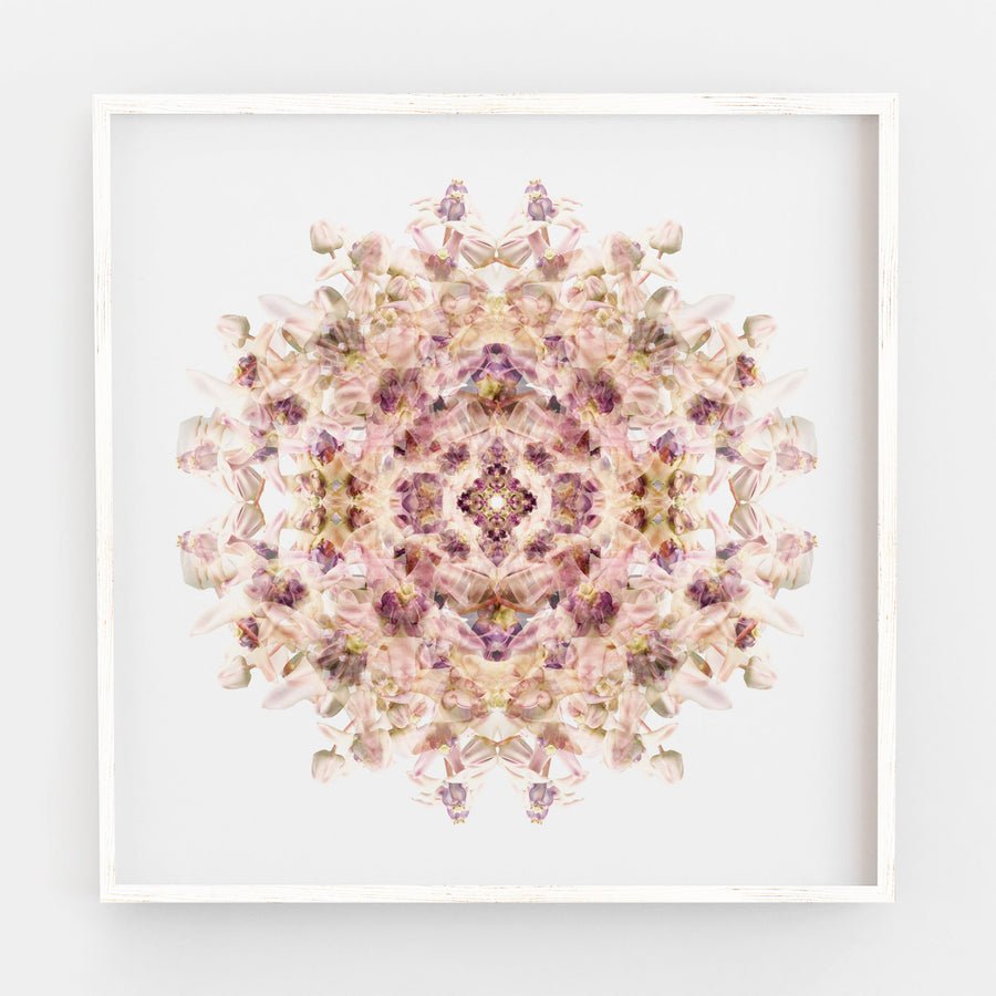 Lilac Wax Flower Mandala Pattern | Paper and Flower | Floral Art Print