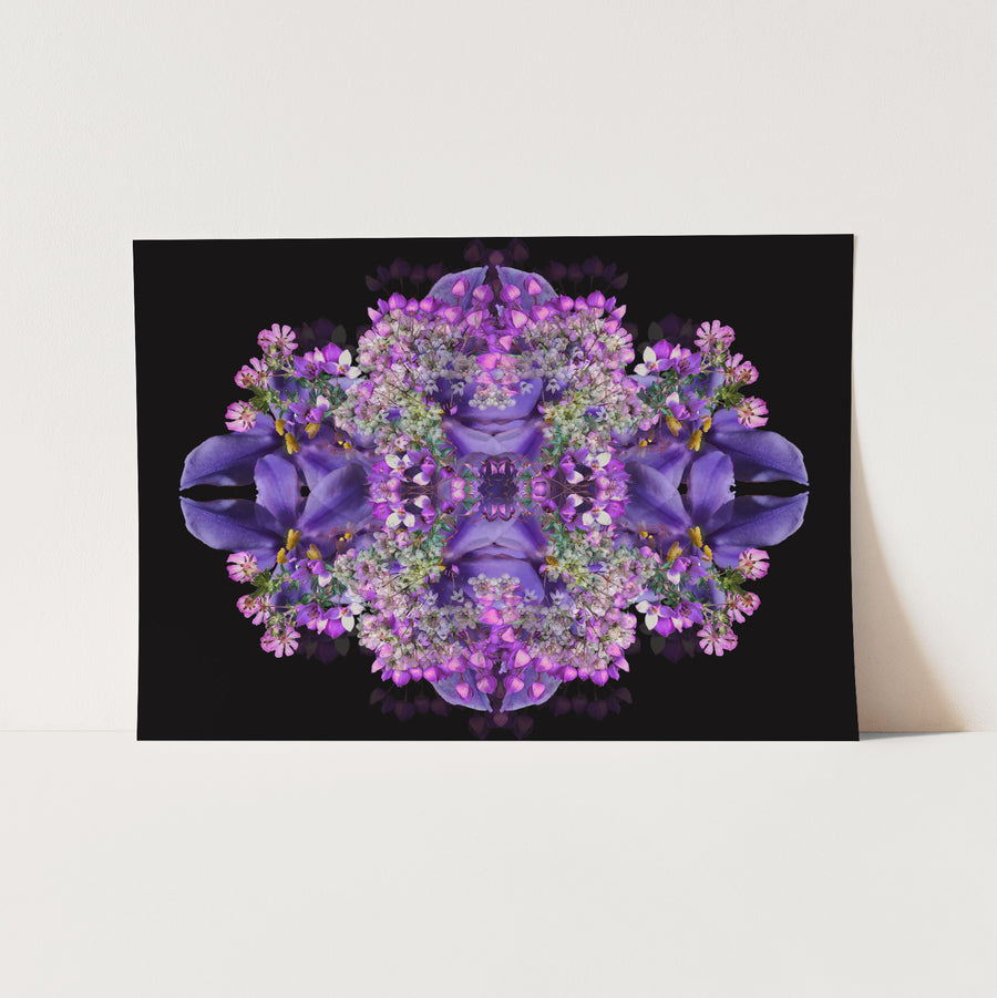 Purple Bells on Black Fine Art Print